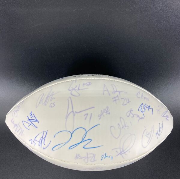 NFL - 49ers Multi Sign Super Bowl XLVII Panel Ball Signed By Over 30 Pla...