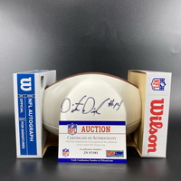 NFL - Buccaneers D'Cota Dixon Signed Panel Ball