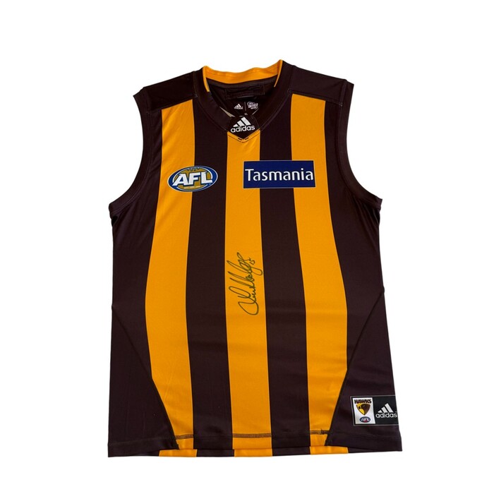 Photo of Luke Hodge 2016 Hawthorn Away Guernsey