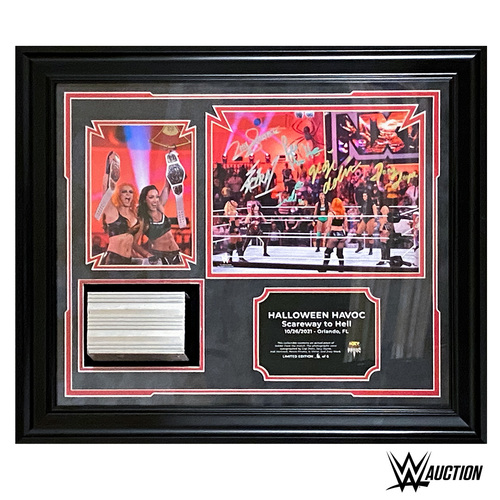 Halloween Havoc Scareway to Hell SIGNED and USED Ladder Match Frame w/ piece of Ladder (Random Number)