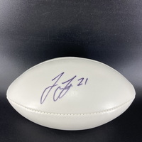 Dolphins - Jordan Lucas Signed Panel Ball