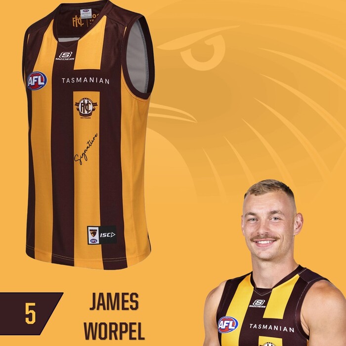 Photo of James Worpel #5 Hawthorn 2025 Elimination Final Match-Worn Guernsey