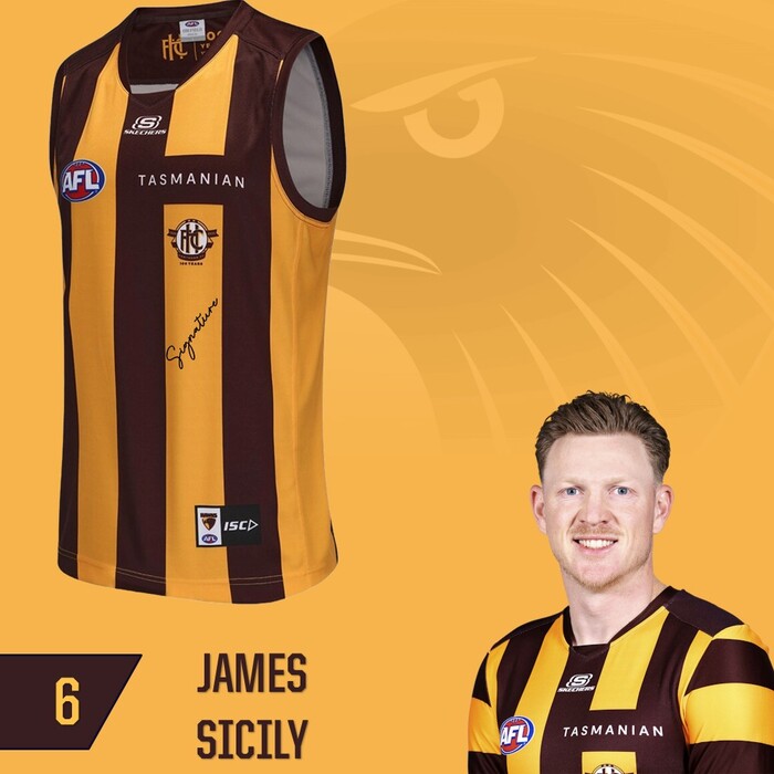 Photo of James Sicily #6 Hawthorn 2025 Elimination Final Match-Worn Guernsey