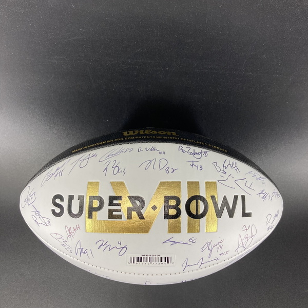 NFL - 49ers Multi Signed Super Bowl 58 Commemorative Panel Ball Signed B...