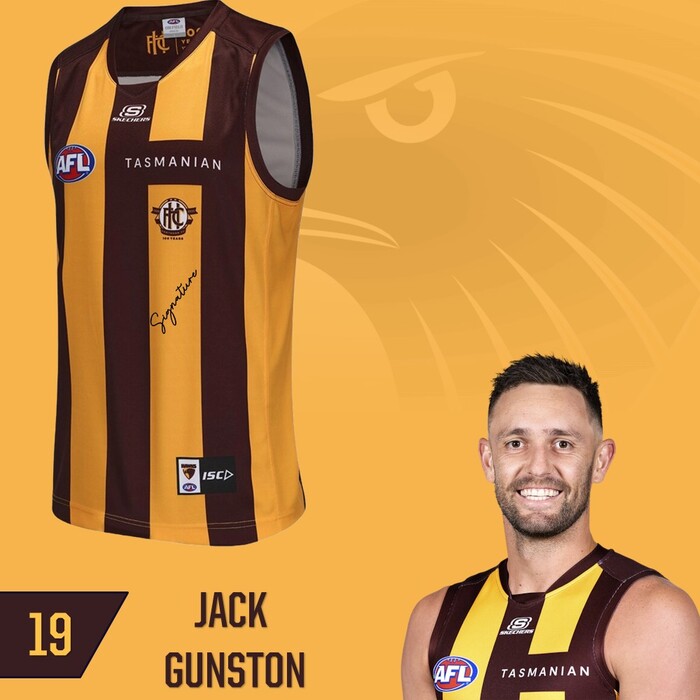 Photo of Jack Gunston #19 Hawthorn 2025 Elimination Final Match-Worn Guernsey