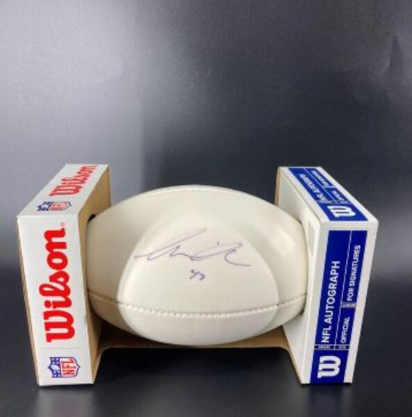 Dolphins - Kiko Alonso Signed Panel Ball