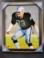 Blank - Raiders Ted Hendricks Picture With Frame (11x14)
