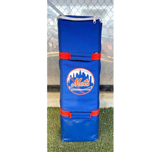 Michael Conforto 30 Game Used Bat Bag Mets vs. Marlins 9/9/21