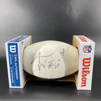 Dolphins - Albert Wilson Signed Panel Ball