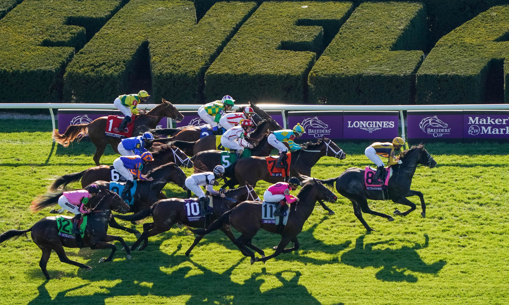 First Turn Chalet Tickets To The 2026 Breeders Cup World Championships In Lexington, KY On October 30-31, 2026