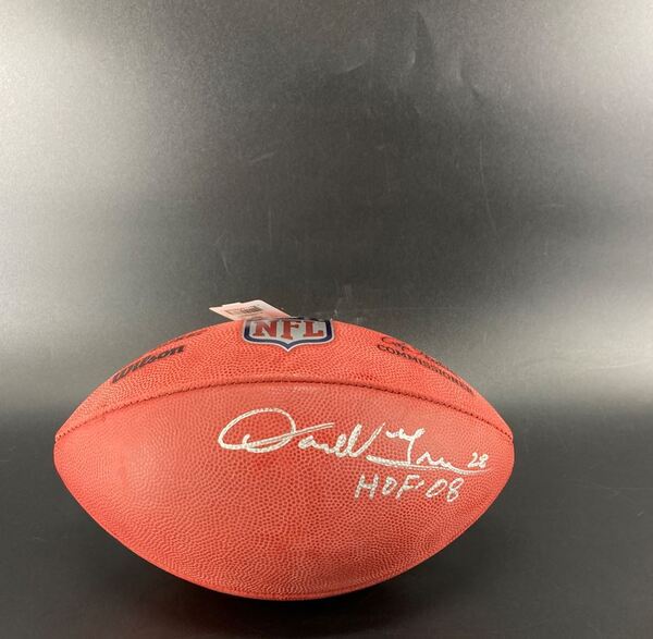 HOF - Commanders Darrell Green Signed Authentic Football