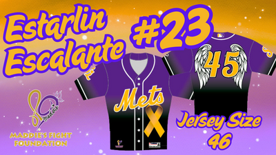 Maddie's Fight Foundation Jersey #23 Estarlin Escalante