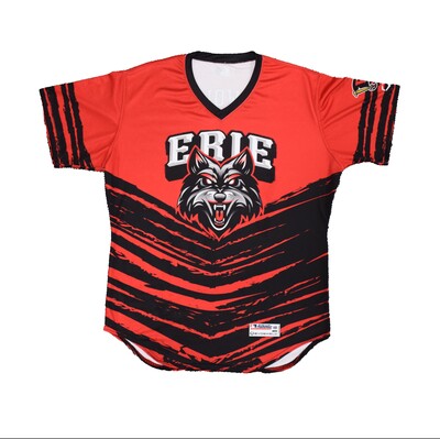 #22 - Ben Malgeri Game-Issued Artificial Intelligence Jersey