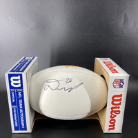 Dolphins - Damian Williams Signed Panel Ball With Dolphins Logo