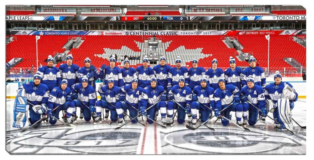 Toronto Maple Leafs - 14x28