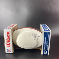Dolphins - Danny Amendola Signed Panel Ball