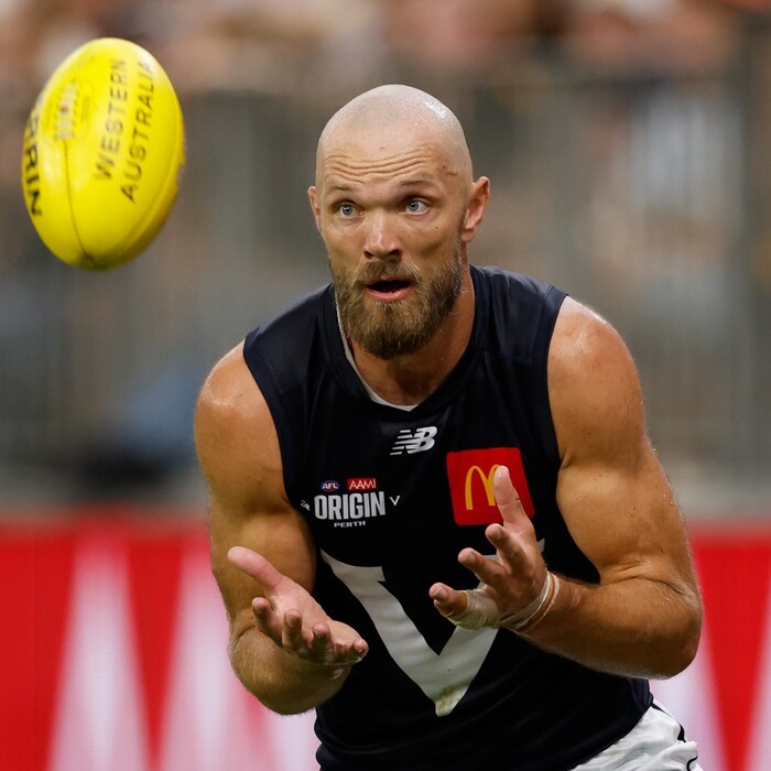 Photo of Max Gawn 2026 VIC AFL Origin Guernsey