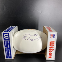 Dolphins - Damian Williams Signed Panel Ball With Dolphins Logo