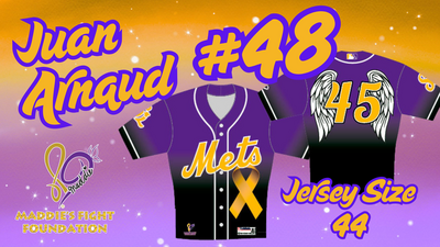Maddie's Fight Foundation Jersey #48 Juan Arnaud