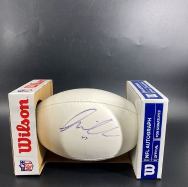 Dolphins - Kiko Alonso Signed Panel Ball