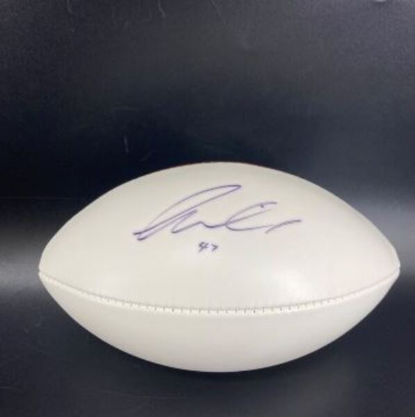Dolphins - Kiko Alonso Signed Panel Ball