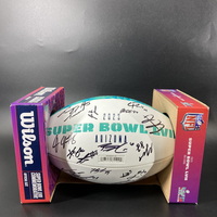 NFL - Multi-Signed Panel Ball With 13 Signatures Includng Pacheco, Cochr...