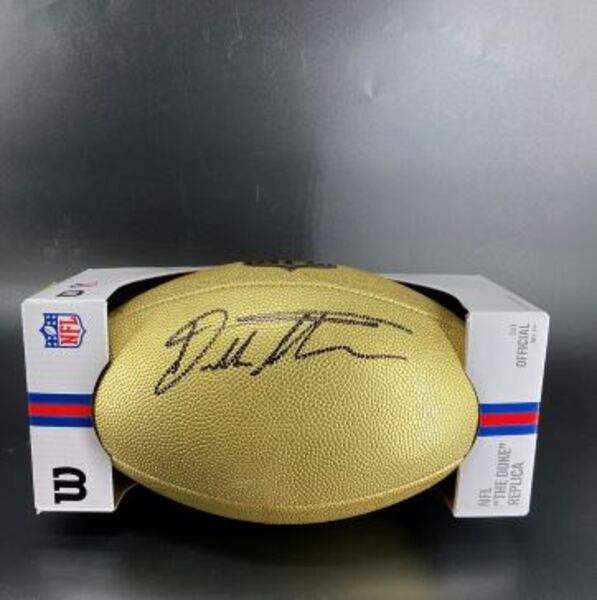 NFL - Bears Dillon Thieneman Signed Gold Composite Football