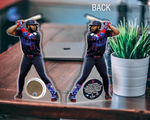 Game-Used or Autographed Game Used | Toronto Blue Jays Auctions
