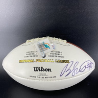 Dolphins - Rashawn Scott Signed Panel Ball