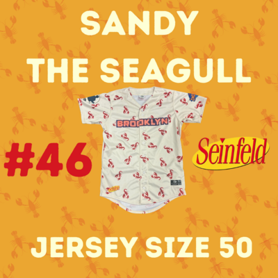 #46 Sandy the Seagull Game Used Seinfeld Jersey (Size 50)