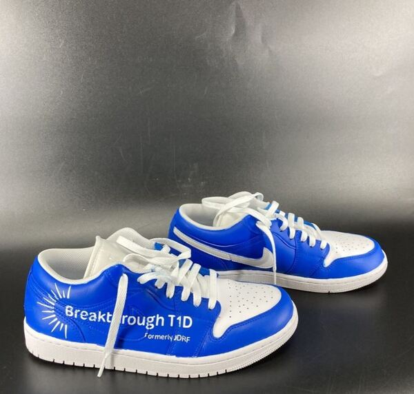 MCMC - Texans Coach Mike Snyder Custom Shoes 2025 Season Size 9.5 - Proc...