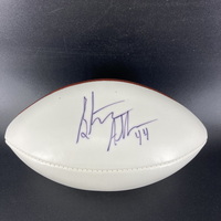 Dolphins - Stephone Anthony Signed Panel Ball