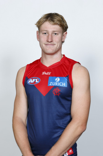 Photo of 2025 Melbourne Demons Home Guernsey - Jacob van Rooyen #2