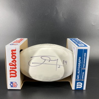 Dolphins - Jakeem Grant Signed Panel Ball