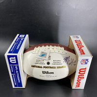 Dolphins - Mike Hull Signed Panel Ball