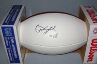 NFL - WFT ARDARIUS STEWART SIGNED PANEL BALL