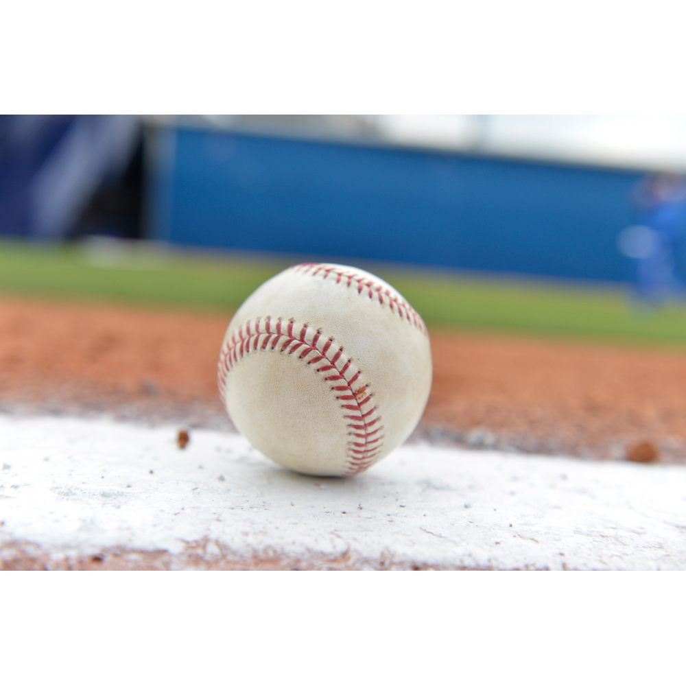 Amazin' Auction Throw out first pitch at Mets Game on August 5, 2019