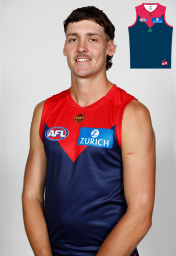 Photo of Melbourne Demons Jim's Game Guernsey - Blake Howes #22