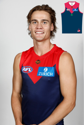 Photo of Melbourne Demons Jim's Game Guernsey - Trent Rivers #24