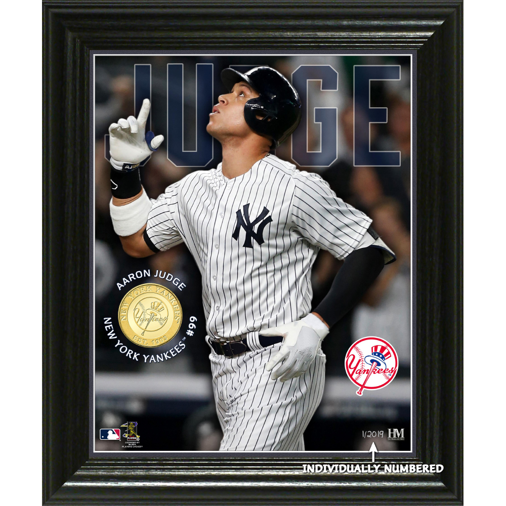 judge baseball auction