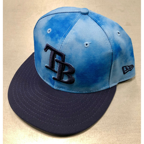 tampa bay rays fathers day hat