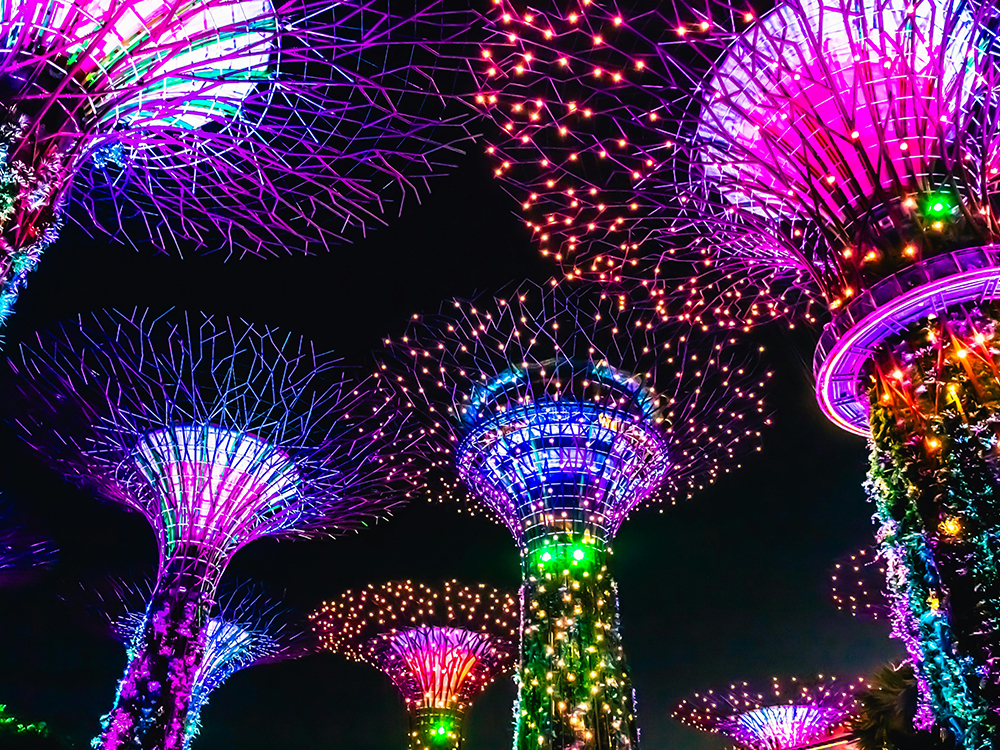 Singapore Night Cruise with Gardens by the Bay