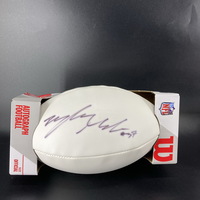 Dolphins - Patrick Laird Signed Panel Ball