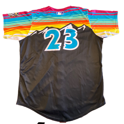 Paulino Santana Signed #23 Llamas de Hickory Jersey