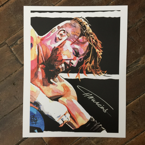 Curt Hawkins SIGNED 11 x 14 Rob Schamberger Print