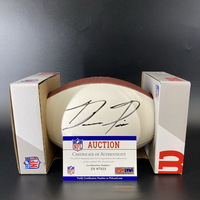 NFL - Texans Dameon Pierce Signed Panel Ball