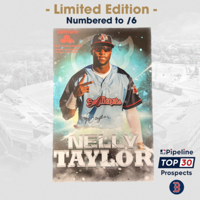 Photo of Nelly Taylor Jr. - Autographed 17x11 Poster - Limited to 6