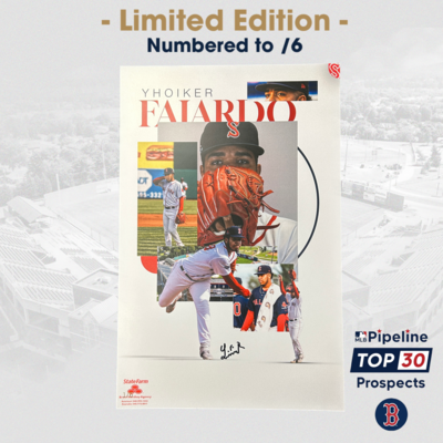 Photo of Yhoiker Fajardo - Autographed 17x11 Poster - Limited to 6