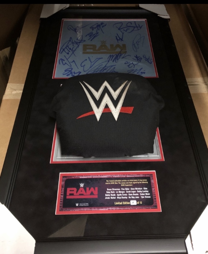 Raw 2019 SIGNED Ring Canvas and Turnbuckle Plaque (Multiple Superstars