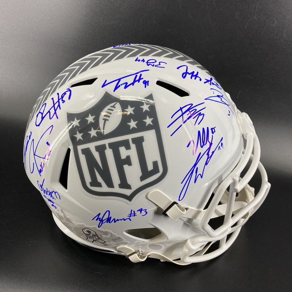 NFL - Multi Sign NFL Shield STS Replica Helmet Signed By Over 20 Pro Bow...